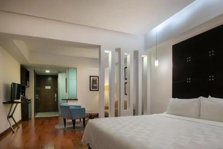 Holiday Inn Santo Domingo & Suites, An Ihg - 93