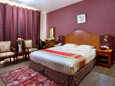 Safeer Suites - 17