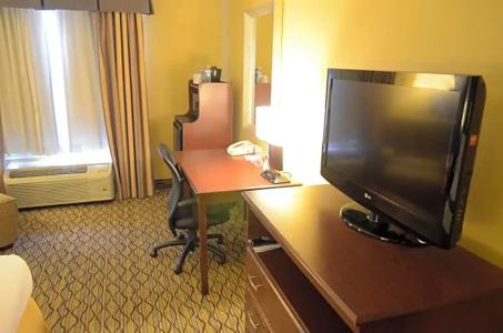 Holiday Inn Express & Suites Houston-Downtown Convention Center, An Ihg - 53