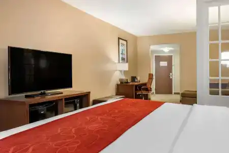 Comfort Suites Orlando Airport - 6