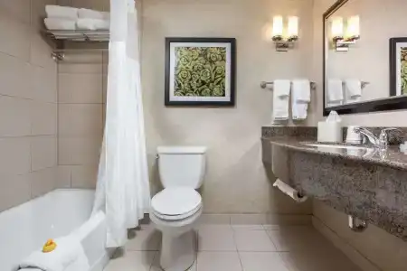 Hilton Garden Inn - 8