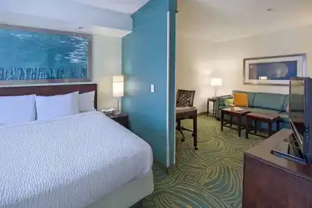 SpringHill Suites by Marriott - 42