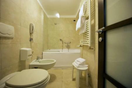 Best Western Crystal Palace - 77