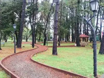 Magnolia Agmashenebeli - 18