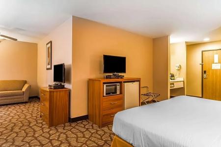 Quality Inn & Suites Chesterfield Village - 36