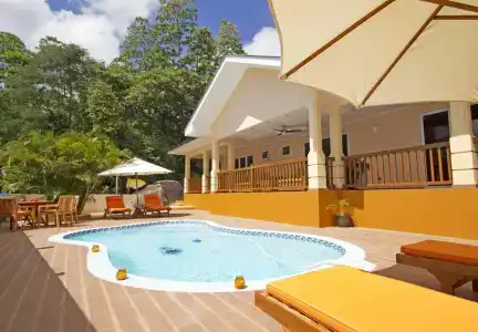The Palm Seychelles - 12