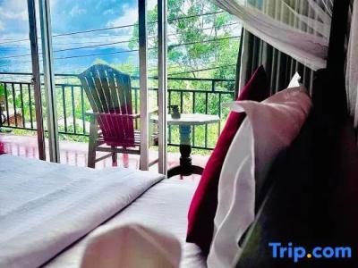 The Ella Nature Life Guest Inn - 37