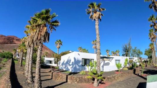 Palmeras Garden - 294