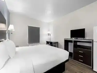Americas Best Value Inn - - 45
