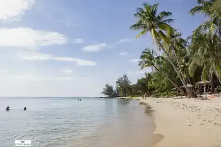 Coco Palm Beach Resort & Spa - 12