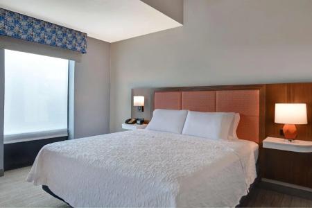 Hampton Inn & Suites/St. Petersburg-Ulmerton Road - 49