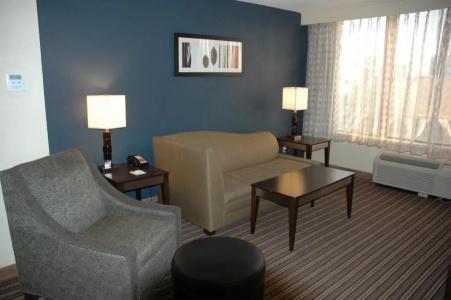 Wyndham Garden Norfolk Downtown - 89