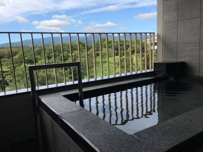 Izu Marriott Shuzenji - 7