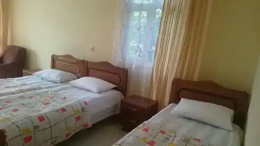 Green House - 48