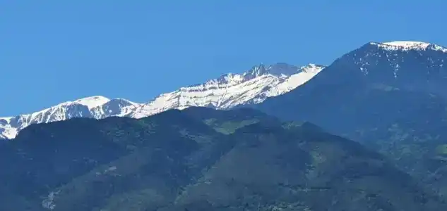 Xenios Dias - 79