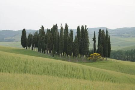 Agriturismo Cantagalli - 55