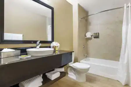 Best Western Plus Palms - 68
