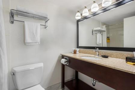 Best Western Plus Suites Downtown - 63