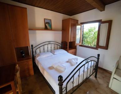 Residence New Paradise - 3