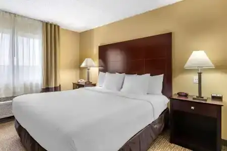 Comfort Inn & Suites - 43