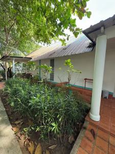 Lanta Island Resort - Sha Extra Plus - 94