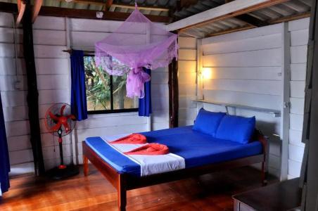 Happy Elephant Guesthouse - 35