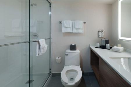 Holiday Inn Montreal, An Ihg - 29