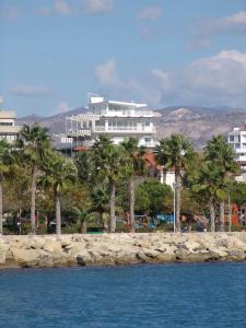 1-80 Collection Limassol - 22