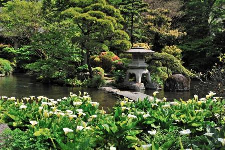 Yoshiike Ryokan - 26
