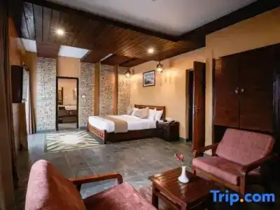 Bar Peepal - 135