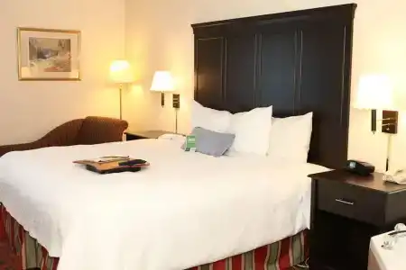 Hampton Inn Toronto-Mississauga - 4