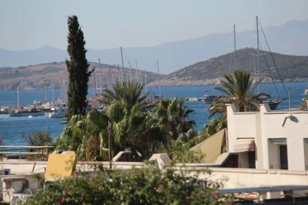 Serpina - 48