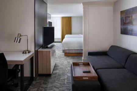 SpringHill Suites by Marriott Convention Center - 48
