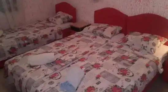 Guest House Dragomir - 3
