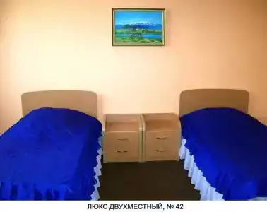 Гвоздика - 9