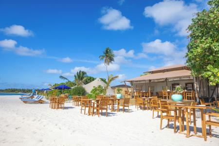 The Maverick Surf and Dive Boutique - 21