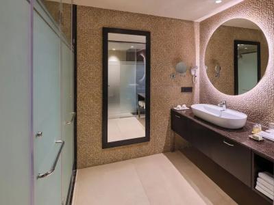 Pride Amber Vilas Resort & Spa Jaipur - 48