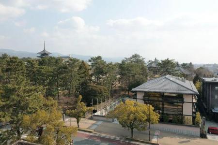 Noborioji Nara - 24