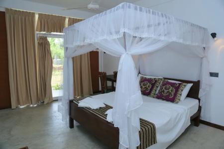 Sigiriya Rock Hide - 54