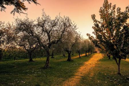Quercia Belvedere Relais - 151