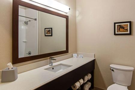 Comfort Suites Nw Dallas Near Love Field - 10