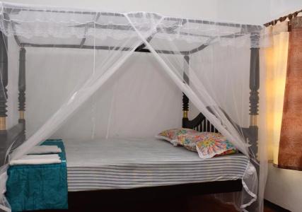 Galle Star - 2