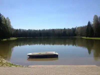 Веста - 11