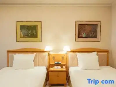 Ana Crowne Plaza Toyama, An Ihg - 123