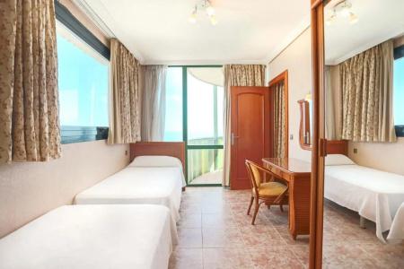 Kaktus Albir - 139