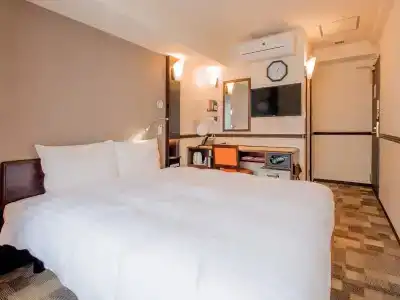 Toyoko Inn Ekimae - 31