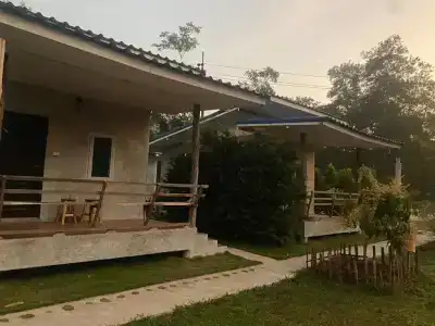 PD - 3