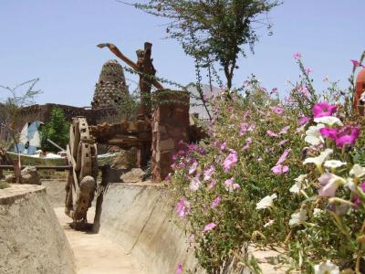Sharm Inn Amarein - 31