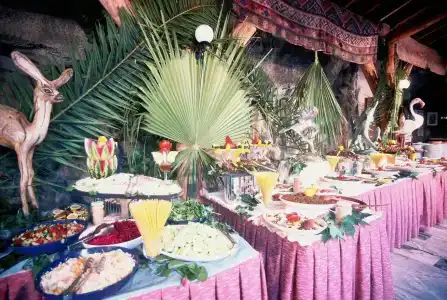 Meri All inclusive - 29