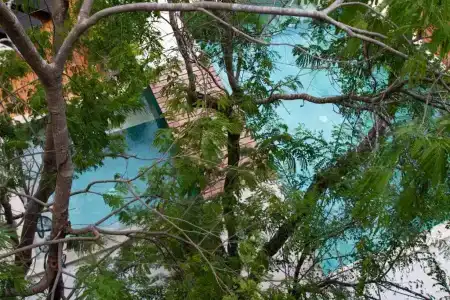Little Gem Tulum La Veleta - 31